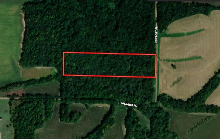 10 Acres – Turn-Key Hunting Tract on a Quiet, Low-Traffic Road